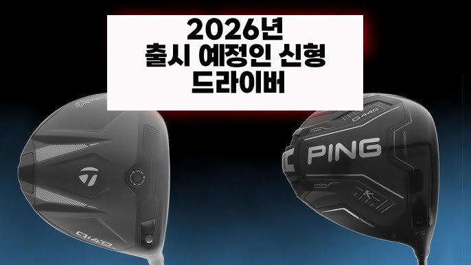 골프 드라이버 가격대별 가성비 분석 2026