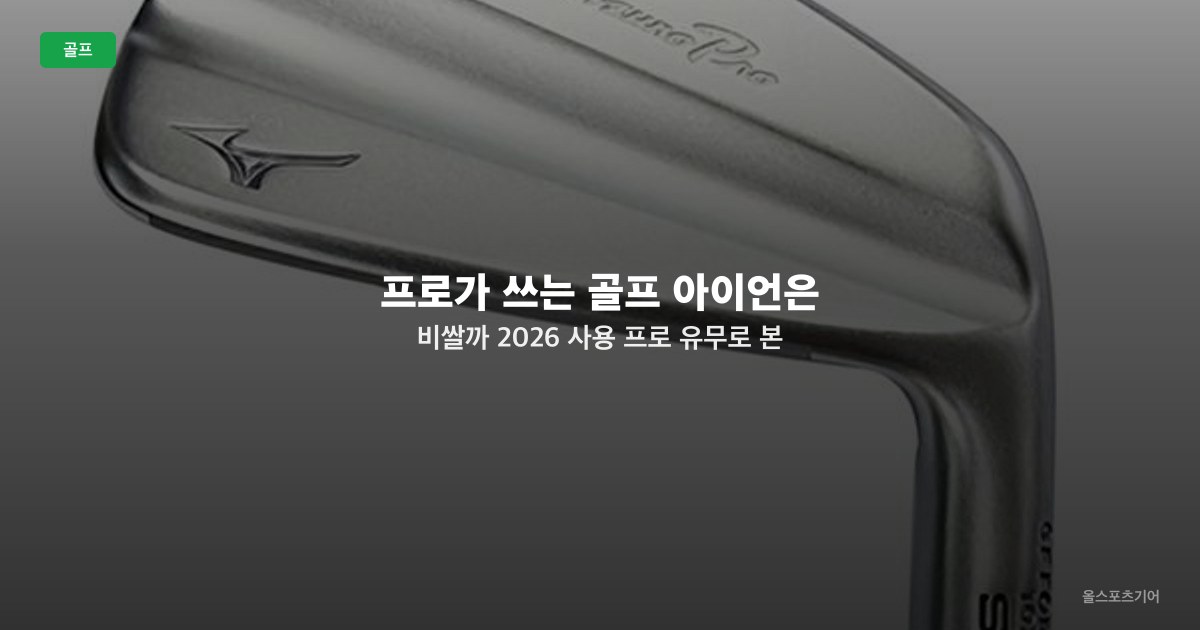 프로가 쓰는 골프 아이언은 비쌀까 2026 — 사용 프로 유무로 본 가격·평점·가성비