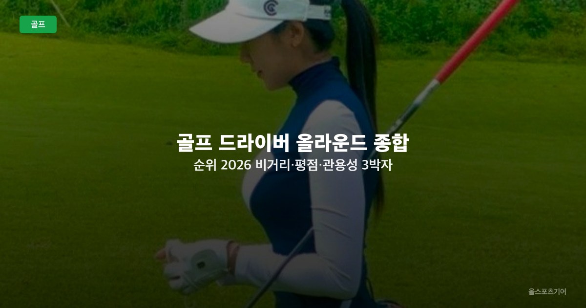 골프 드라이버 올라운드 종합 순위 2026 — 비거리·평점·관용성 3박자 TOP10