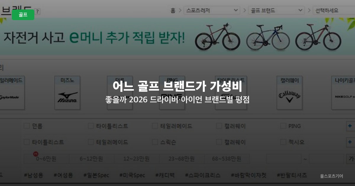 어느 골프 브랜드가 가성비 좋을까 2026 — 드라이버·아이언 브랜드별 평점 대비 가격