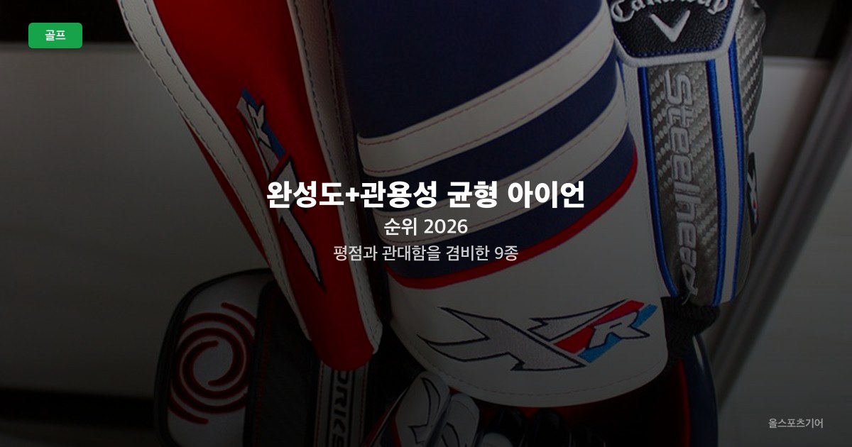 완성도+관용성 균형 아이언 순위 2026 — 평점과 관대함을 겸비한 9종