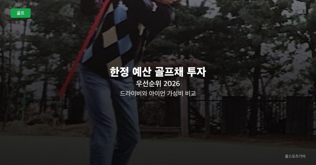 한정 예산 골프채 투자 우선순위 2026 — 드라이버와 아이언 가성비 비교