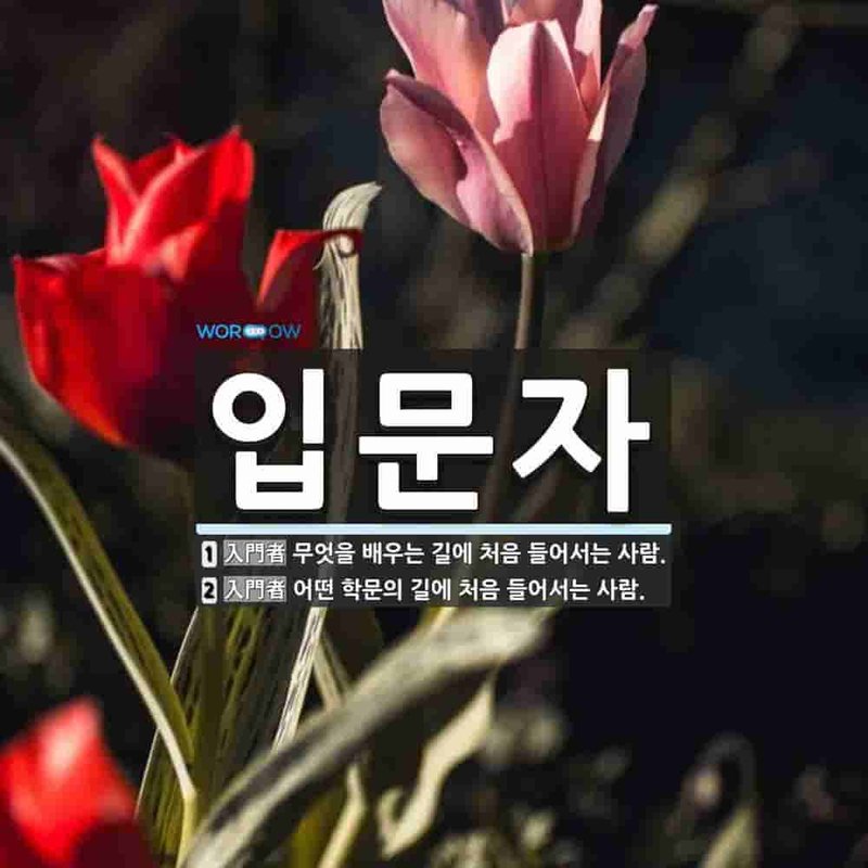 입문자 10명 중 7명이 첫 세트에서 후회한 점