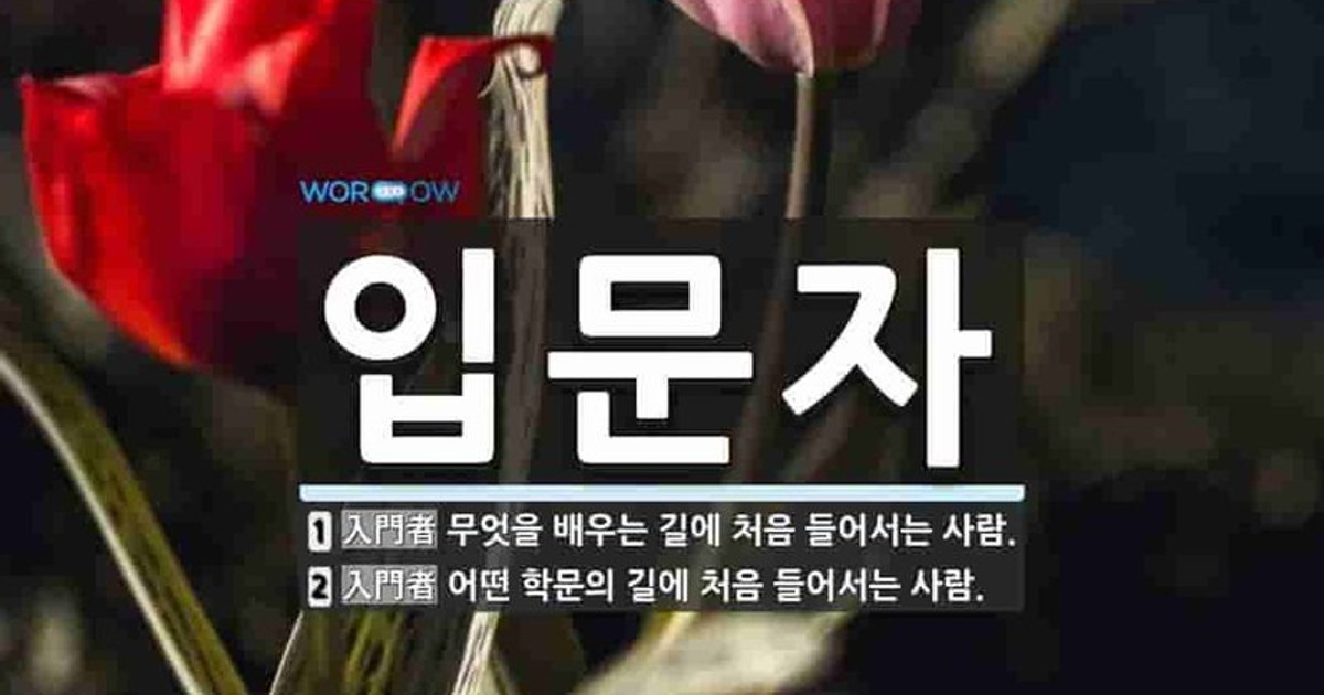 골프 입문 종합 가이드 — 첫 세트·예산·레슨·라운딩까지 K가 1년을 정리합니다