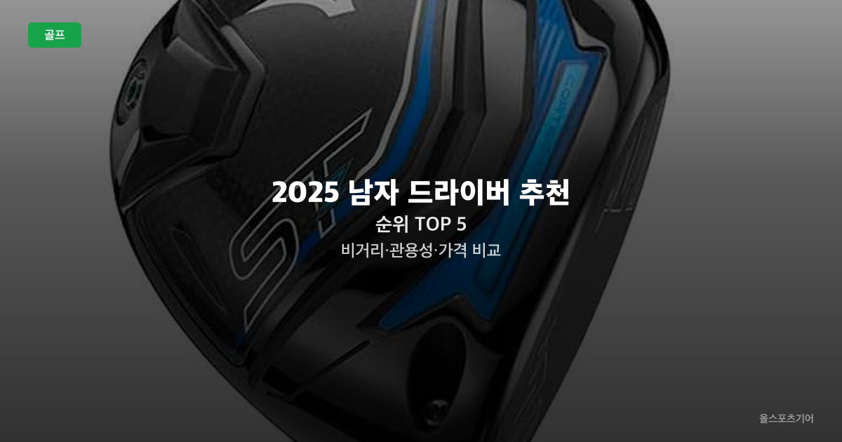 2025 남자 드라이버 추천 순위 TOP 5 - 비거리·관용성·가격 비교