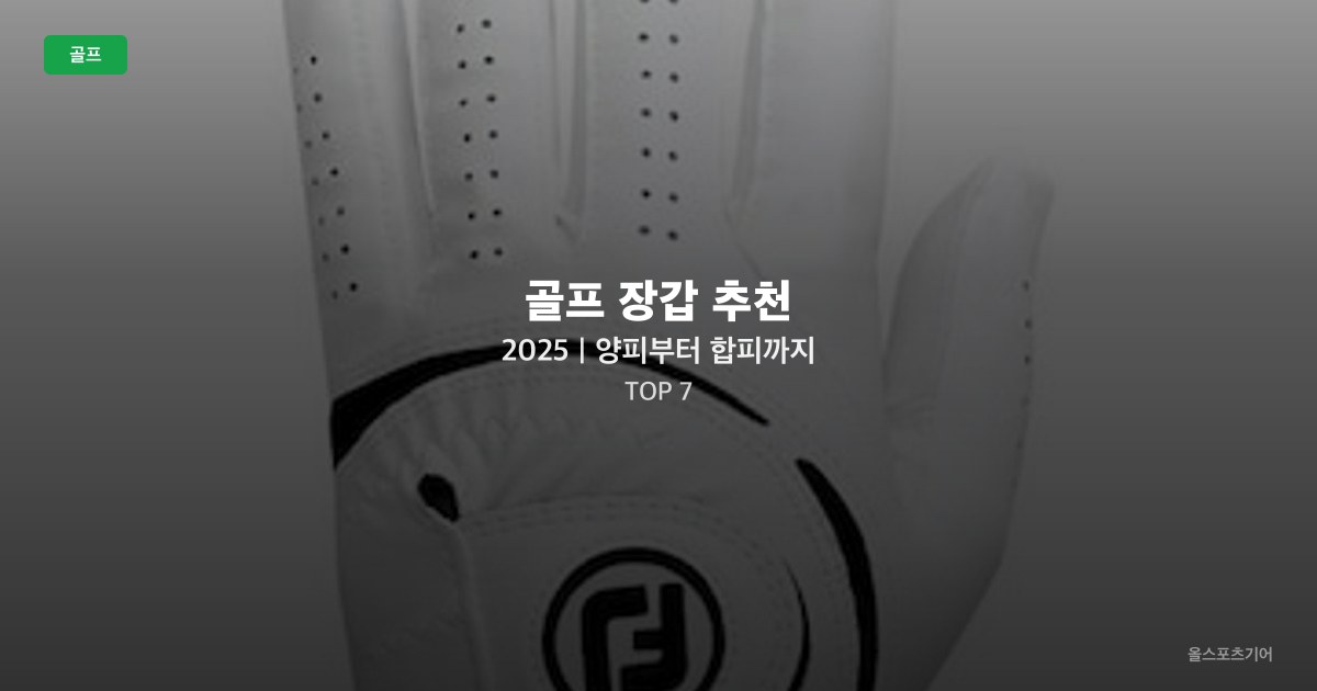 골프 장갑 추천 2025｜양피부터 합피까지 TOP 7