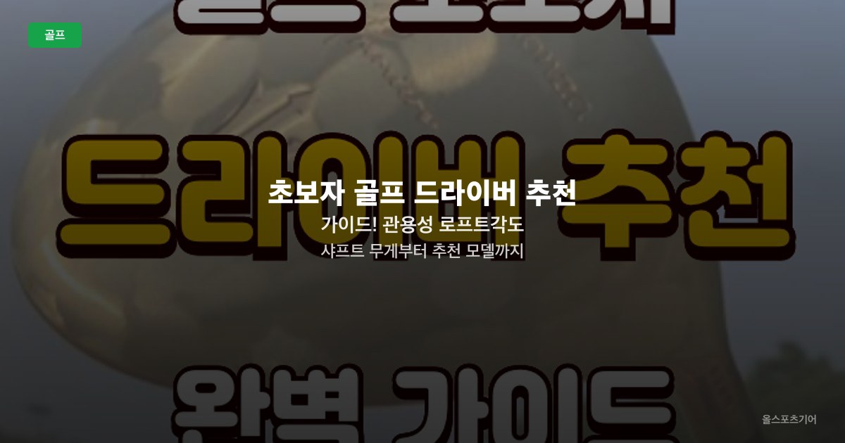 초보자 골프 드라이버 추천 가이드! 관용성 로프트각도 샤프트 무게부터 추천 모델까지