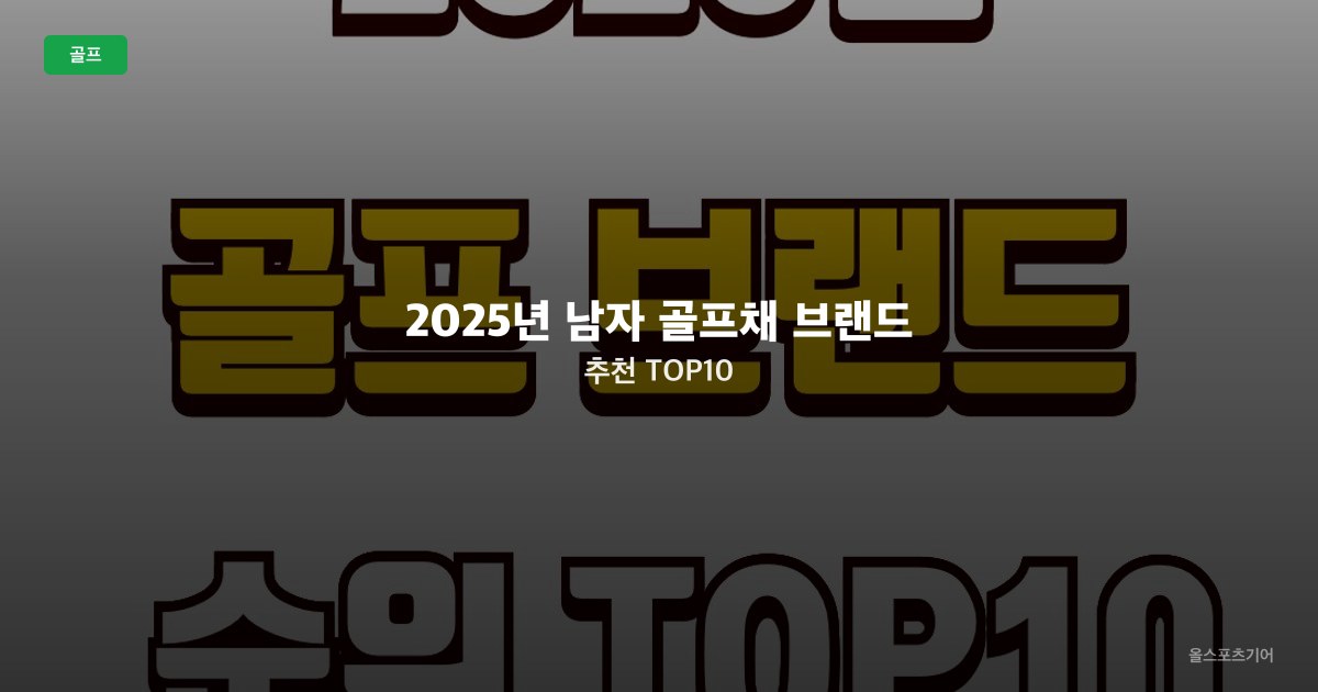 2025년 남자 골프채 브랜드 추천 TOP10
