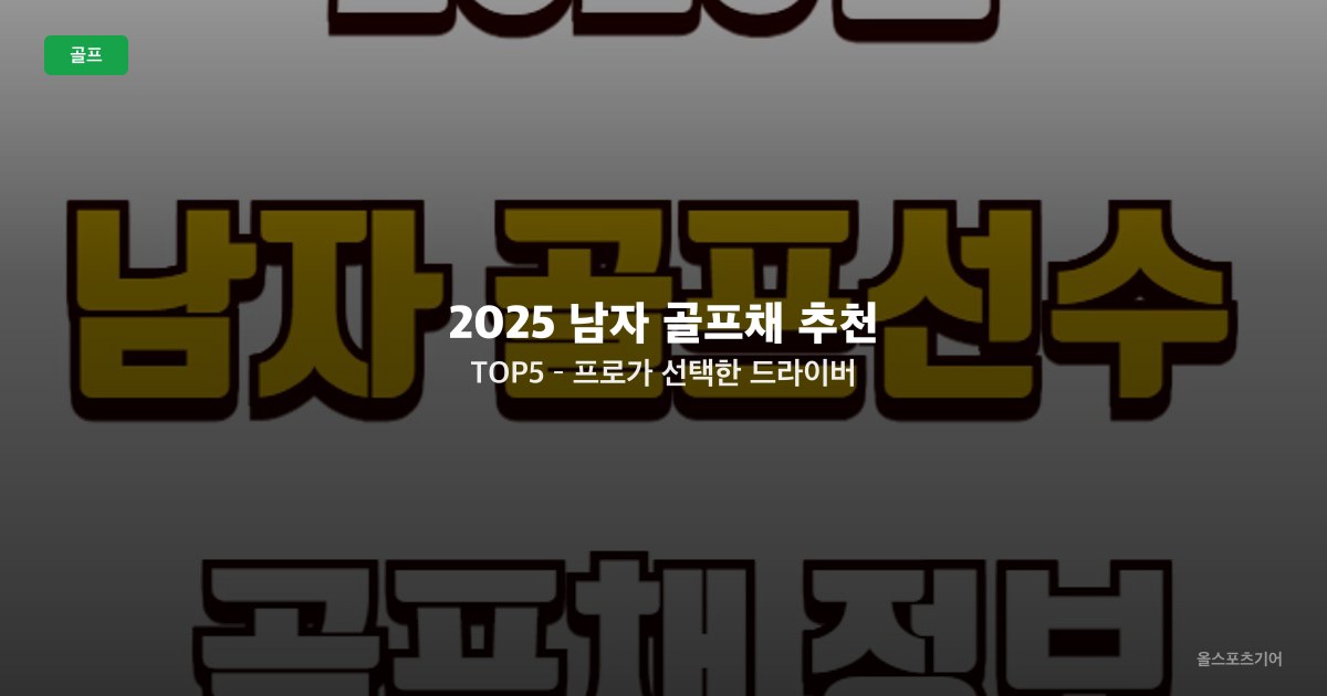2025 남자 골프채 추천 TOP5 – 프로가 선택한 드라이버·아이언 조합은?