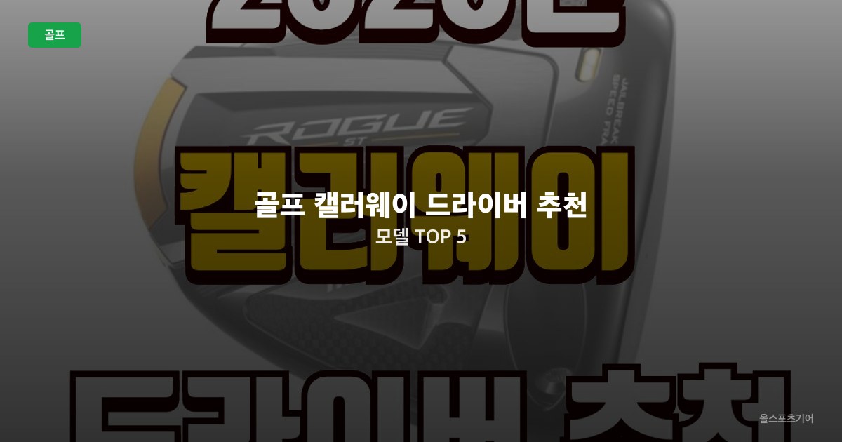 골프 캘러웨이 드라이버 추천 모델 TOP 5