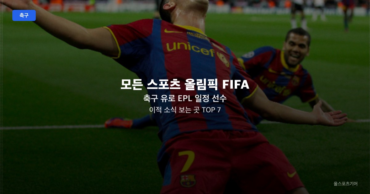 모든 스포츠 올림픽 FIFA 축구 유로 EPL 일정 선수 이적 소식 보는 곳 TOP 7