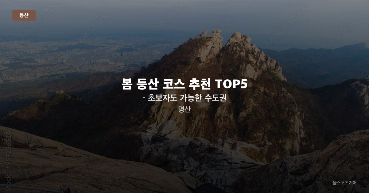 봄 등산 코스 추천 TOP5 – 초보자도 가능한 수도권 명산