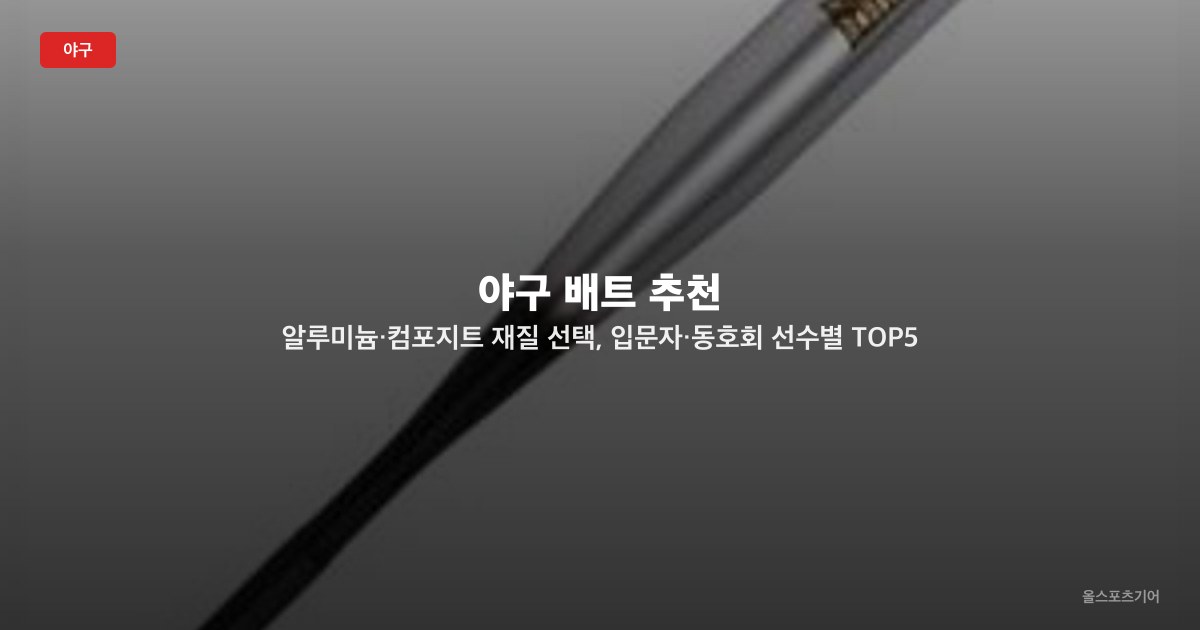 야구 배트 추천 — 알루미늄·컴포지트 재질 선택, 입문자·동호회 선수별 TOP5 비교 선택법