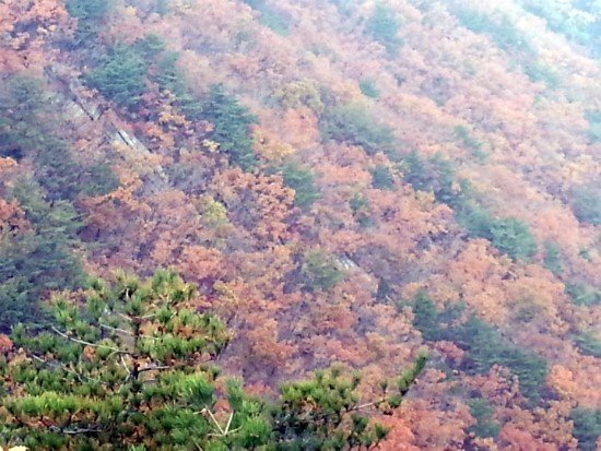 북한산 가을 등산 풍경
