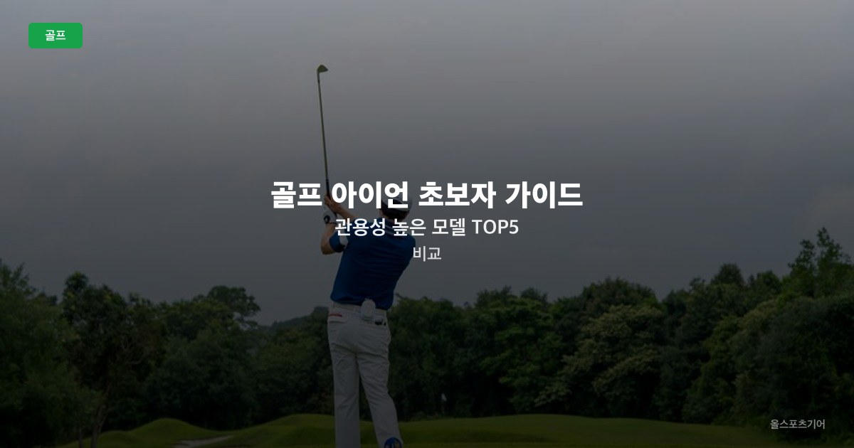 골프 아이언 초보자 가이드 — 관용성 높은 모델 TOP5 비교