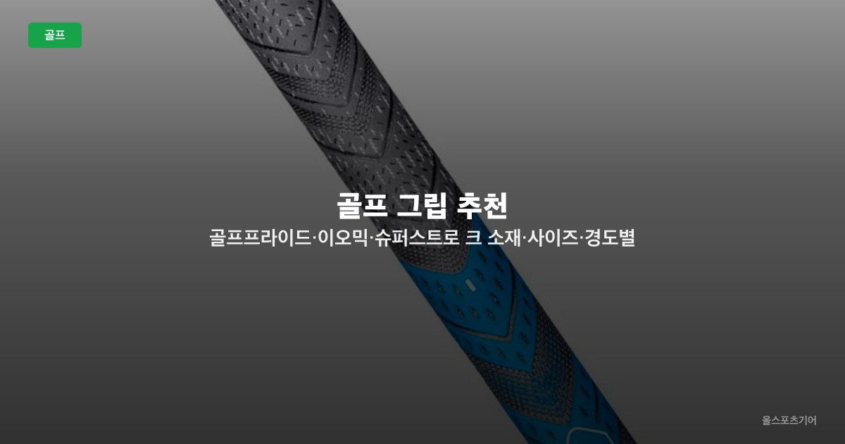 골프 그립 추천 — 골프프라이드·이오믹·슈퍼스트로크 소재·사이즈·경도별 TOP5 비교