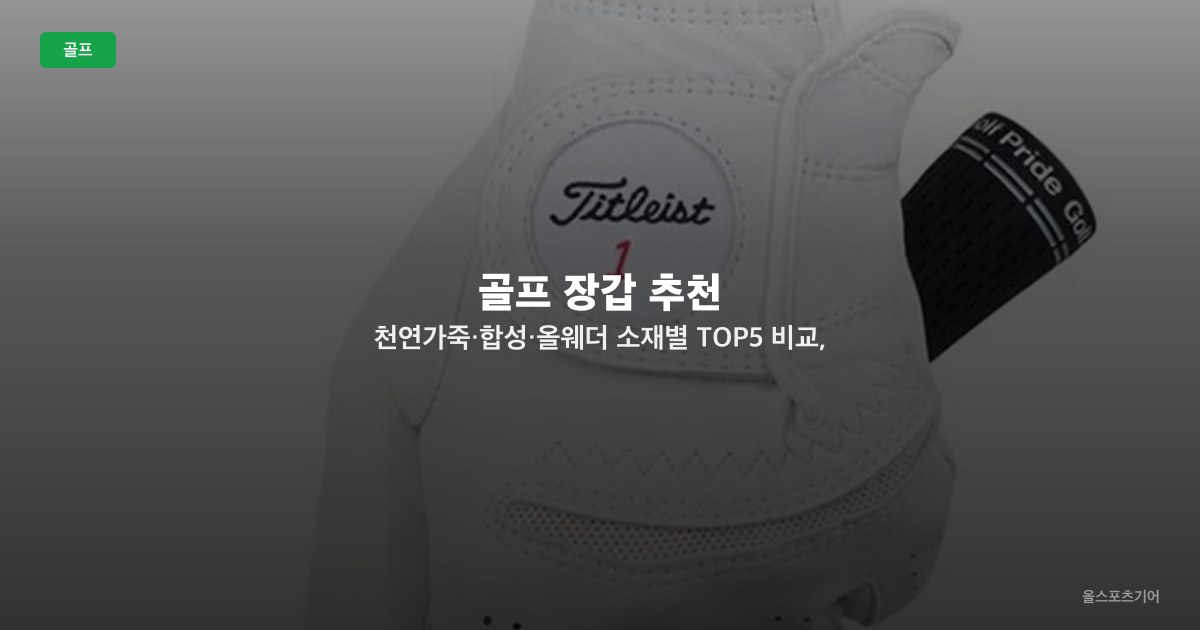 골프 장갑 추천 — 천연가죽·합성·올웨더 소재별 TOP5 비교, 타이틀리스트·풋조이·캘러웨이·테일러메이드·미즈노 선택법