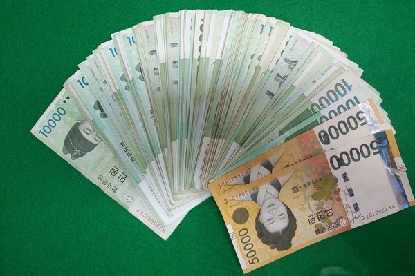 50만원 홈짐 — 최소 비용으로 기초 체력 관리
