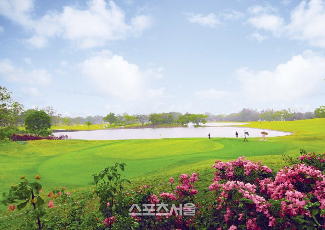 골프장 시즌권 vs 부킹앱 비용 비교
