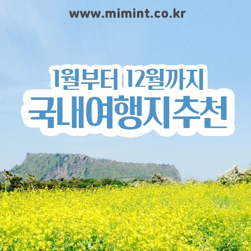 국내 피팅센터 3군별 비교 & 선택 기준