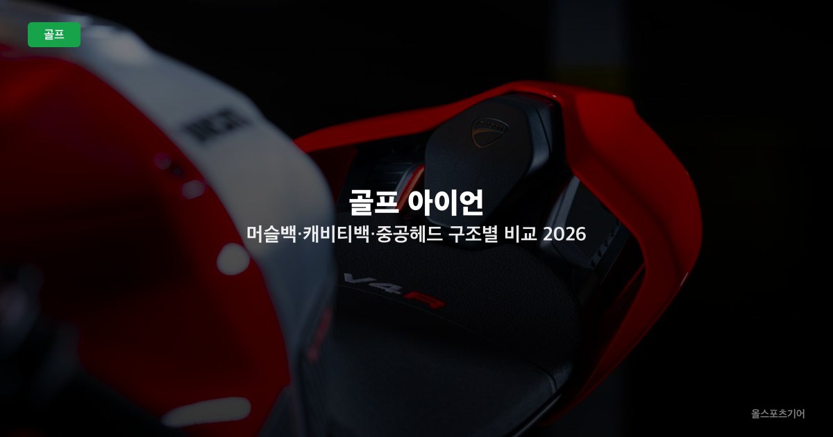 골프 아이언 머슬백·캐비티백·중공헤드 구조별 비교 2026 — 어떤 헤드 타입이 맞나