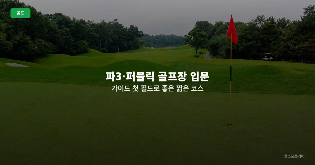 파3·퍼블릭 골프장 입문 가이드 — 첫 필드로 좋은 짧은 코스 비교