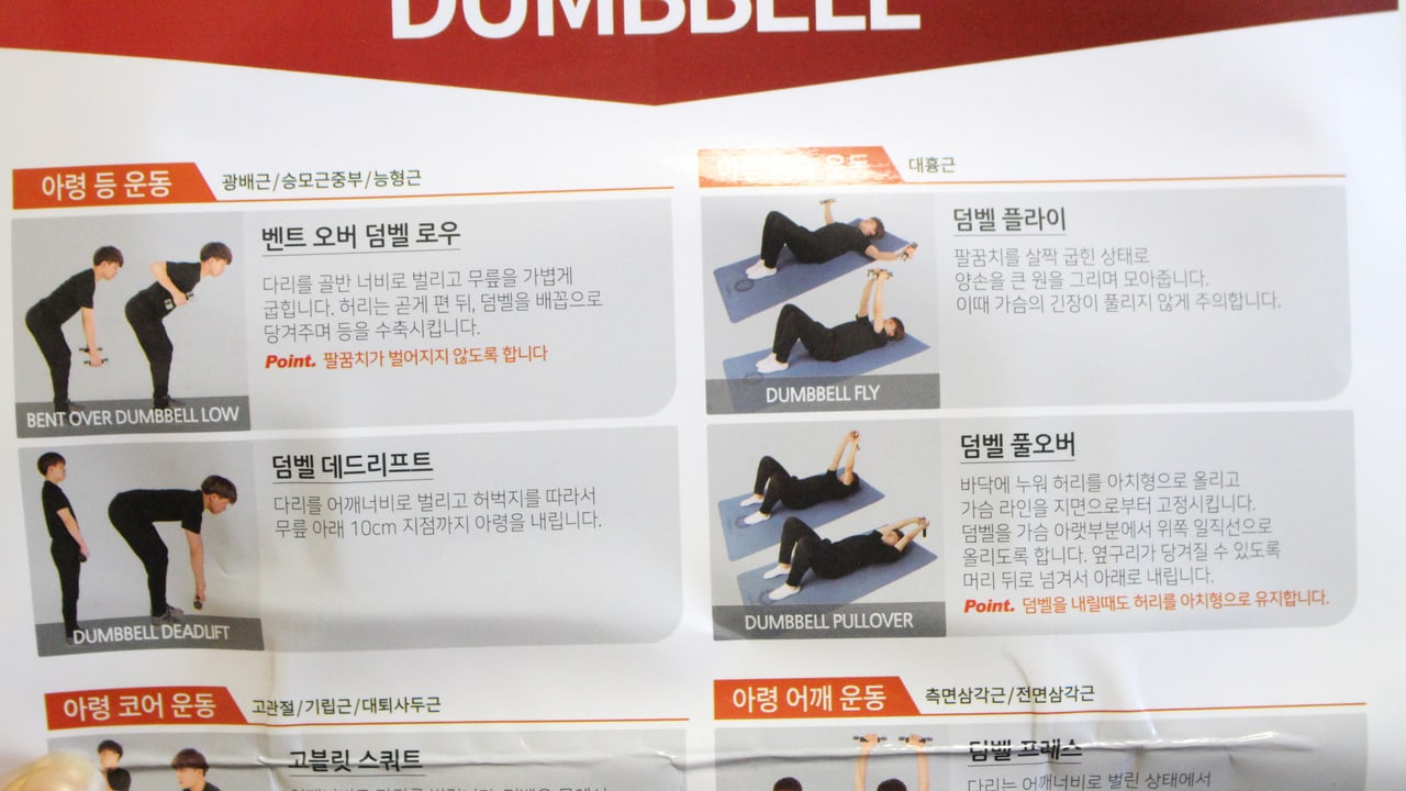 집에서 덤벨로 진행하는 홈트레이닝 — 주간 분할 루틴 설계