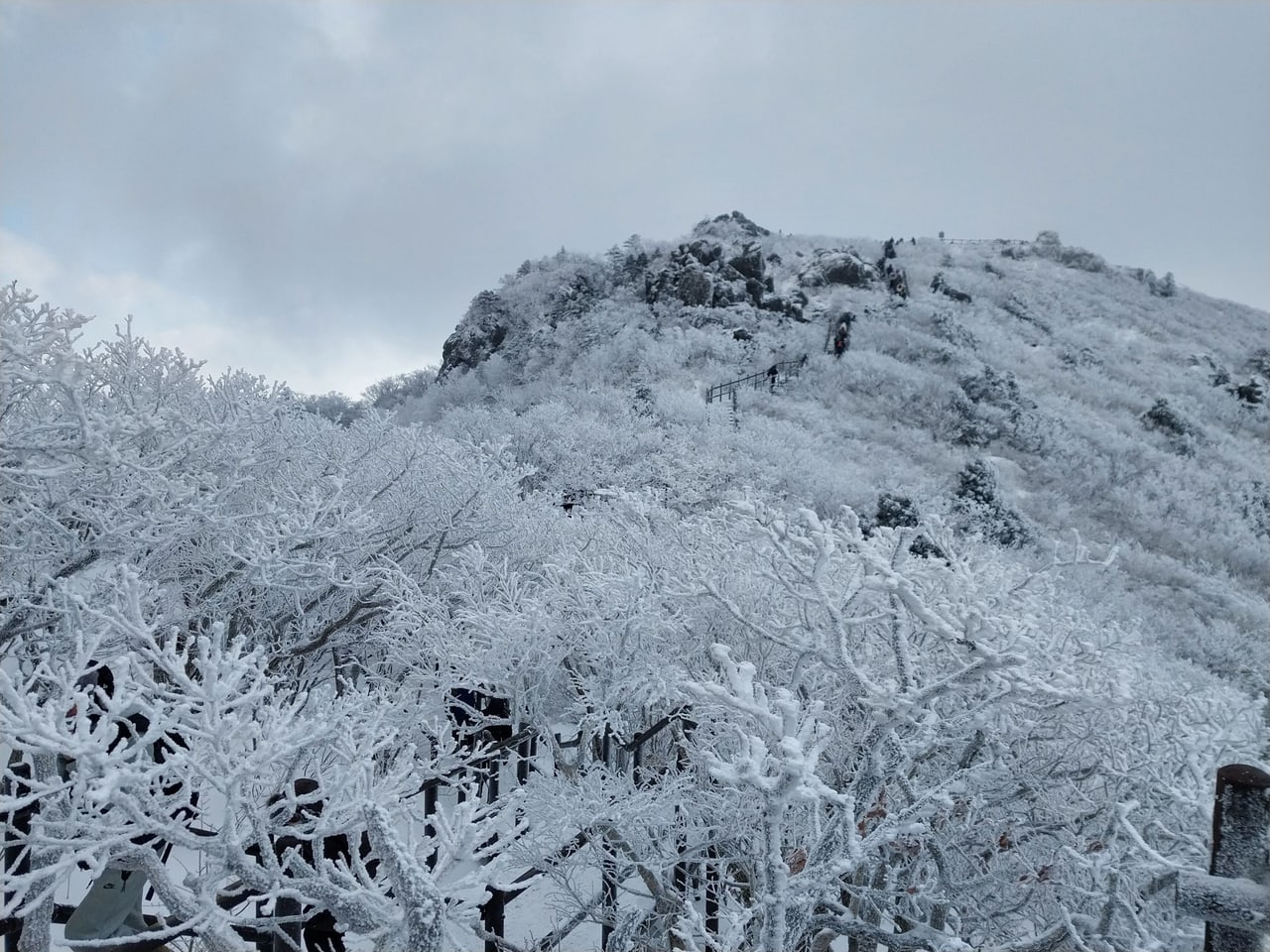덕유산 향적봉 정상에서 바라본 능선 풍경