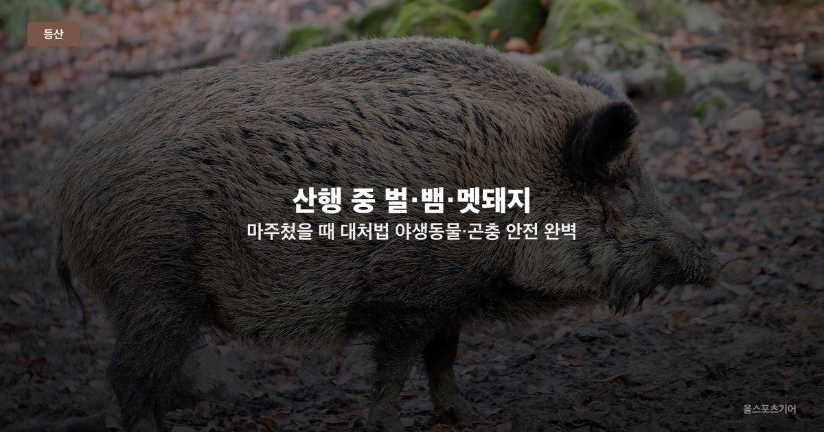 산행 중 벌·뱀·멧돼지 마주쳤을 때 대처법 — 야생동물·곤충 안전 완벽 가이드