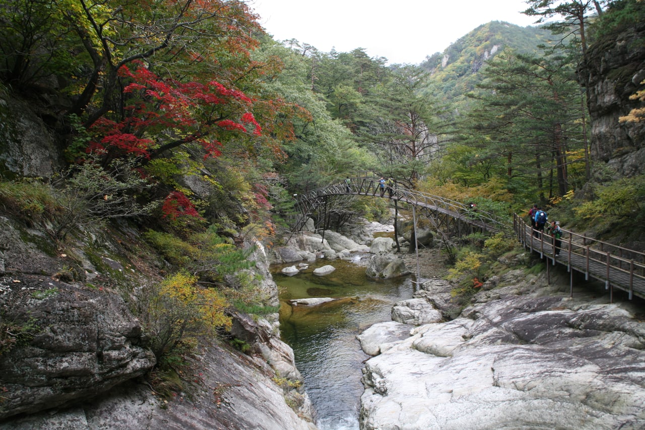 오대산 소금강 계곡의 가을 단풍 — 물에 비친 붉은 단풍과 기암