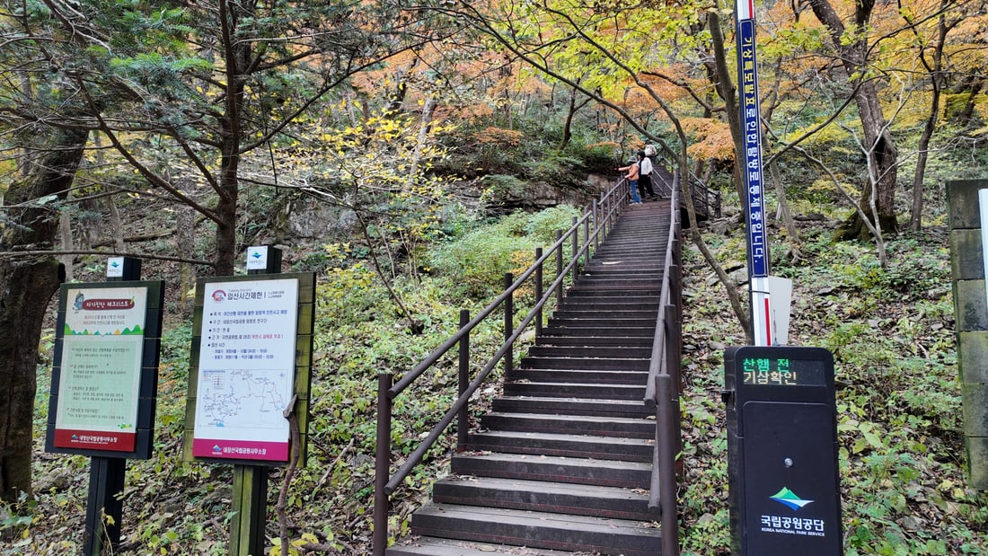 내장산 단풍 등산로 — 가을 능선