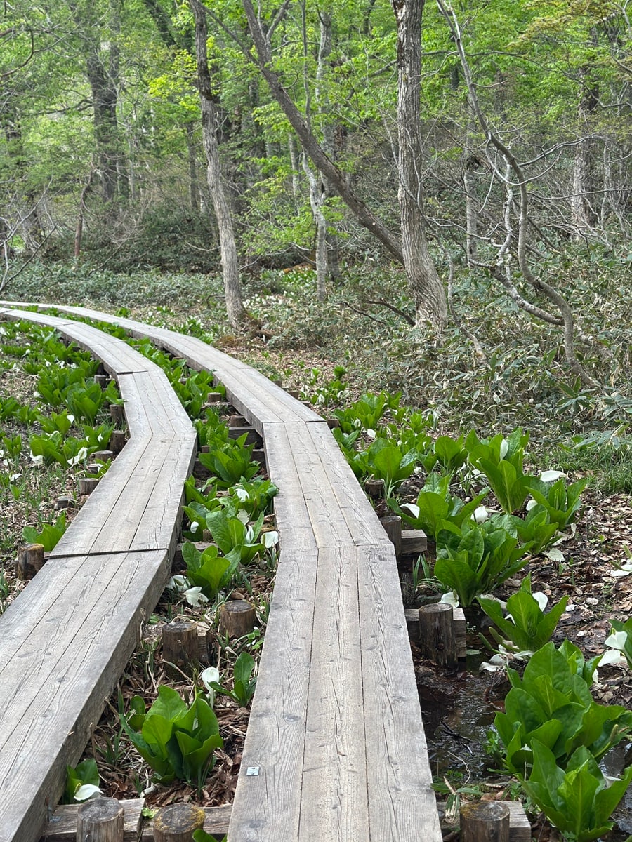 산 대피소와 백패킹 텐트에서의 1박2일 산행 하룻밤