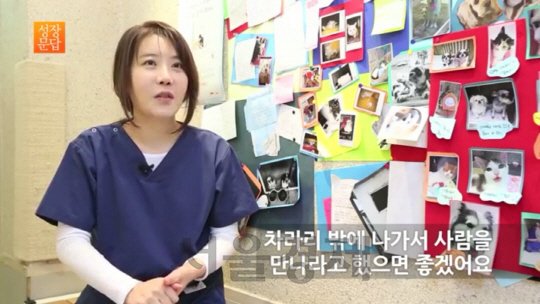 먼저 확인 — 강아지와 갈 수 있는 산인가