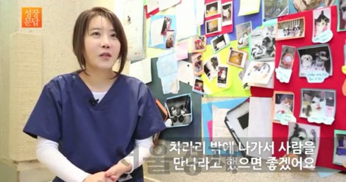 반려견 동반 등산 완벽 가이드 — 예절·장비·안전·갈 수 있는 산