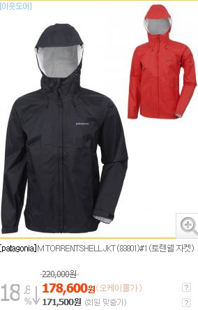 파타고니아 토렌트쉘