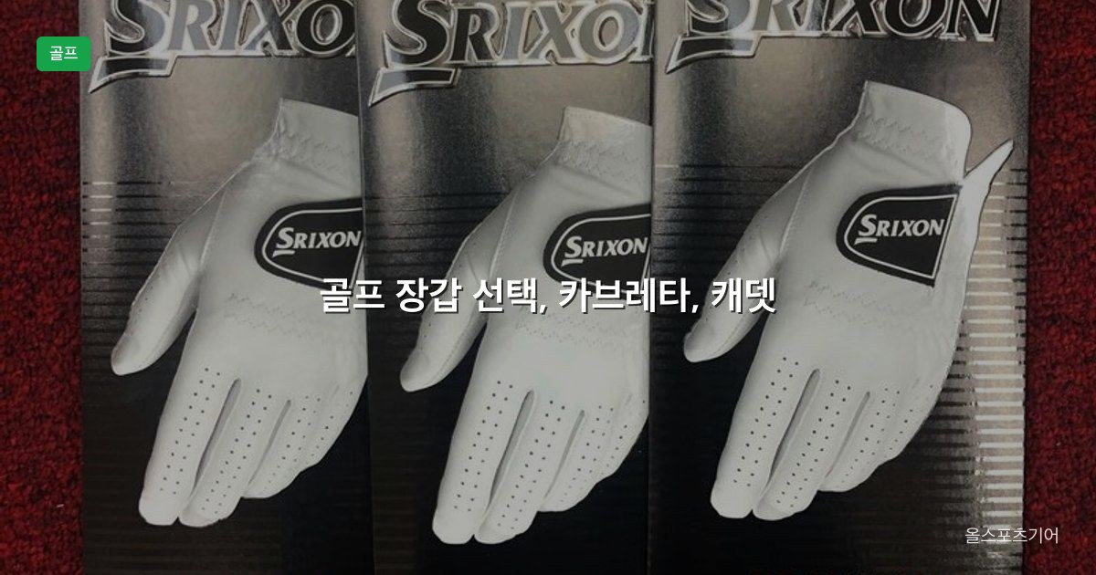 골프 장갑 카브레타 캐뎃 사이즈 선택 가이드 2026