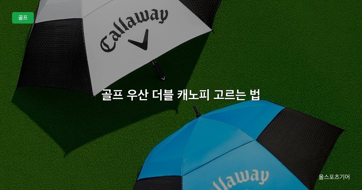 골프 우산 더블 캐노피 62인치 68인치 방풍 선택 가이드