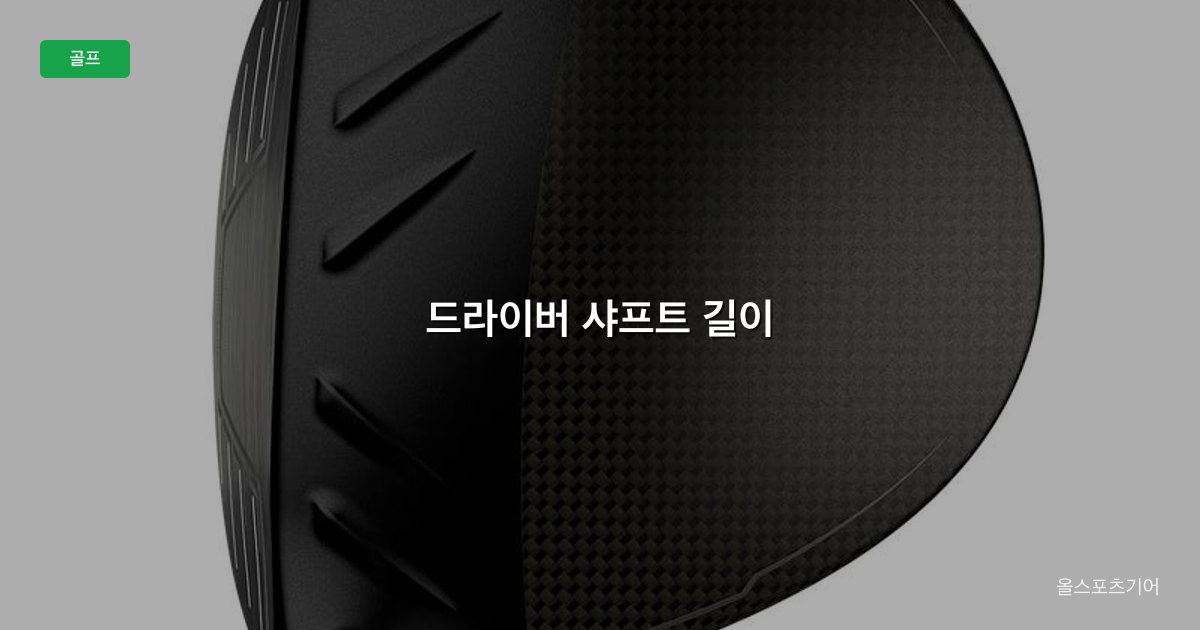 드라이버 샤프트 길이, 45 vs 45.75 vs 46인치, USGA 48인치 | 내 드라이버는 몇 인치가 맞을까?