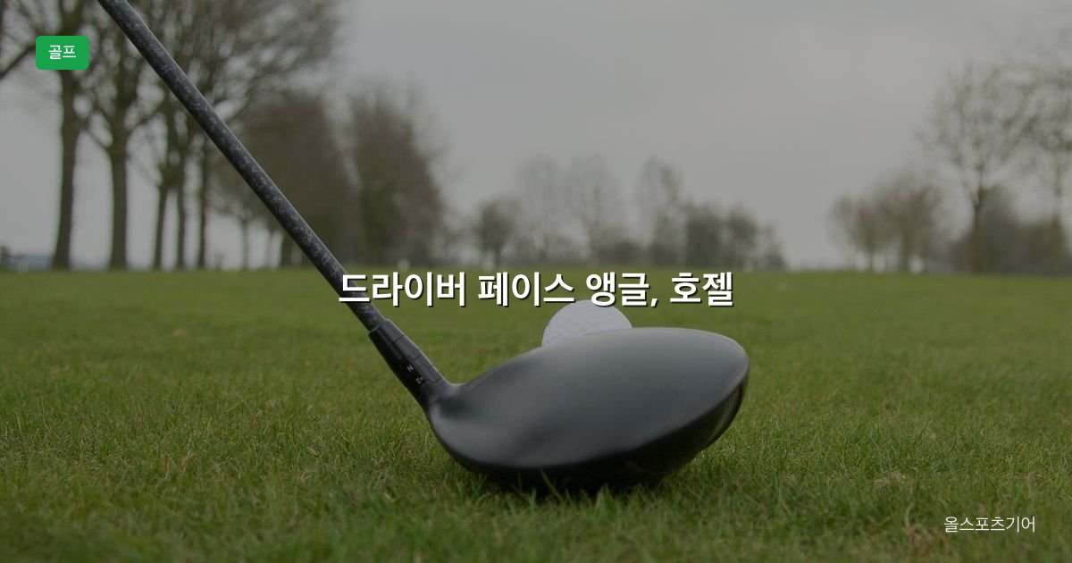 드라이버 페이스 앵글, 호젤, 로프트 슬리브 | 상자 스퀘어가 내 구질에 맞을까?