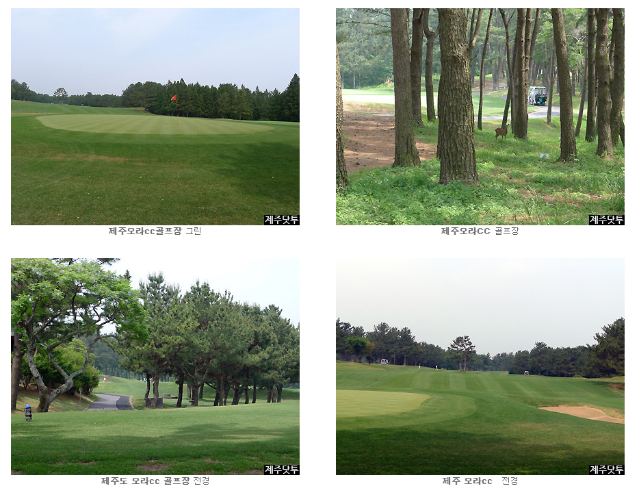여름 골프장 추천