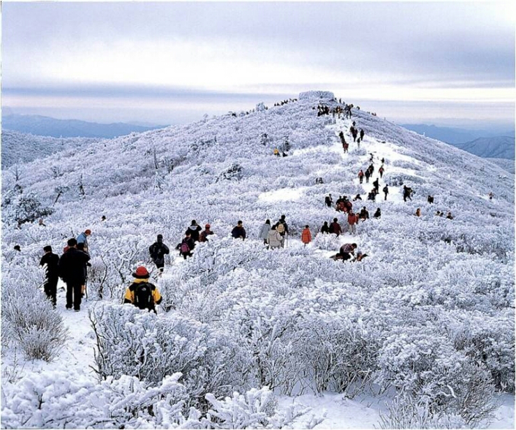 등산 준비물 리스트