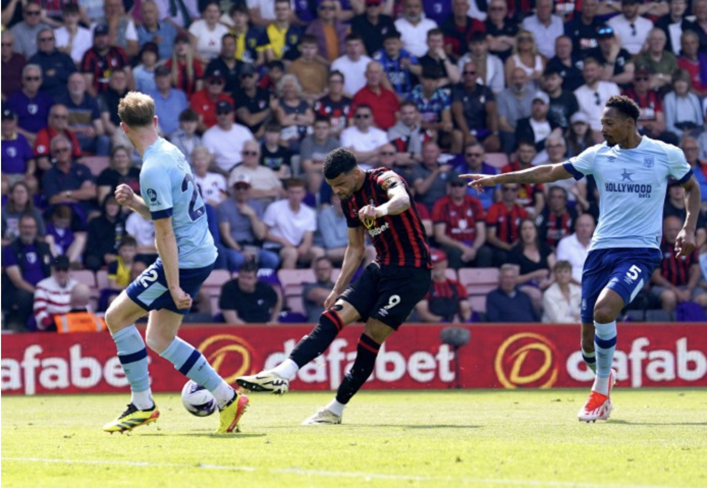 토트넘, 공격수 영입 시도: 솔란케와 데이비드