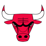 Chicago Bulls 로고