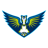 Dallas Wings 로고